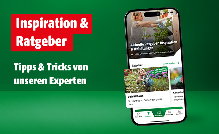 Auf einem Smartphone ist die hagebau App abgebildet. In unseren Inspirations- und Ratgebertexten findet man Tipps und Tricks von unseren Experten.