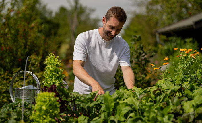 Ein Mann steht in mitten von Pflanzenund gießt diese