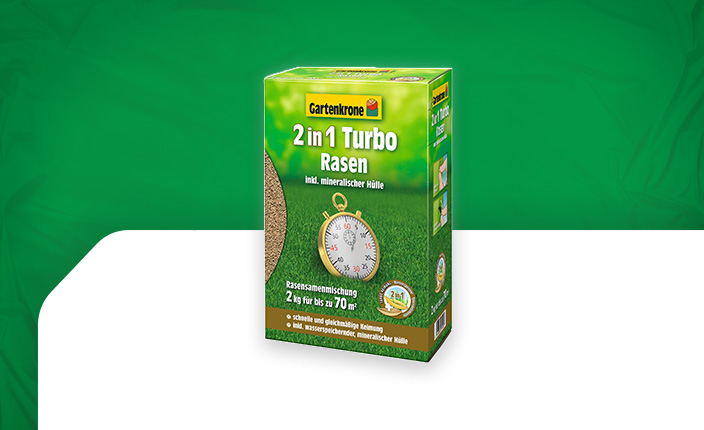 Abbildung von Rasensamen