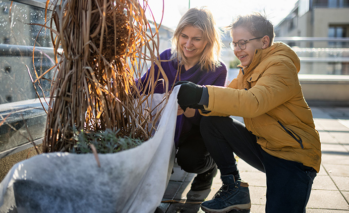 Eine Frau und ein Junge bringen gemeinsam auf einem sonnigen Balkon ein Vlies als Winterschutz um eine große Kübelpflanze an. Die Pflanze ist bereits mit trockenem Pflanzenmaterial umwickelt.