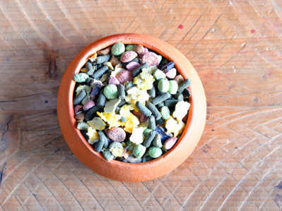 Ein terrakottafarbener Napf mit buntem Kleintierfutter steht auf einer Holzoberfläche. Das Futter besteht aus Pellets, gepufftem Mais und gefärbten Futterstücken.