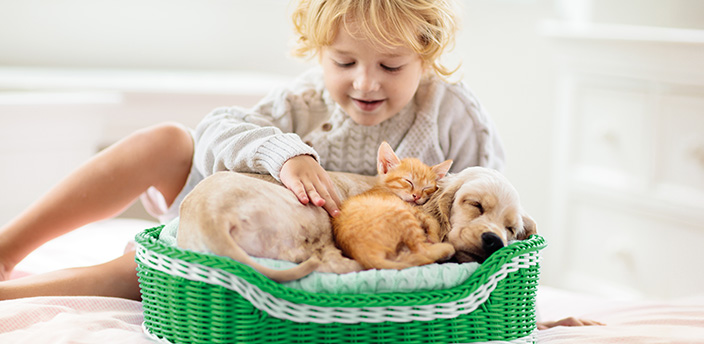 Ein Hund und eine Katze in einem grünen Korb, dahinter ein sitzendes Kind