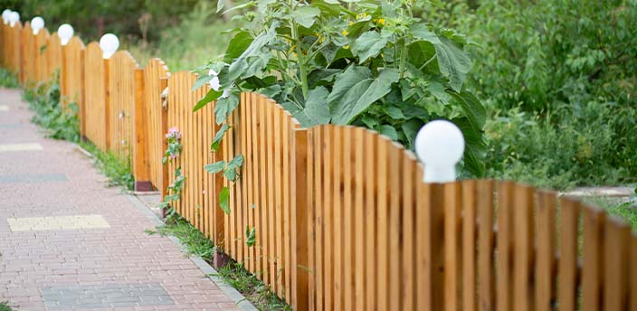 Ein Gartenzaun und ein Busch