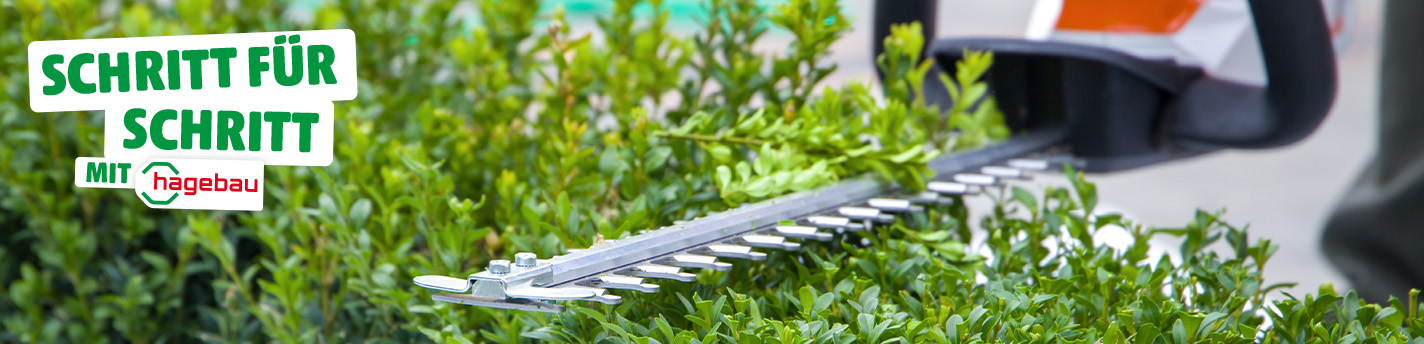 Eine Liguster-Hecke wird von einer motoriesierten Heckenschere getrimmt; Links im Bild die Aufschrift auf weißen Hintergrund mit dem hagebau-Logo „Schritt für Schritt mit hagebau“