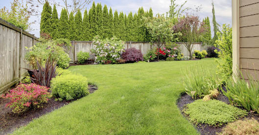 Gepflegter Garten mit großer Rasenfläche, eingefasst von Beeten mit blühenden Sträuchern und Zierpflanzen. Im Hintergrund Sichtschutz aus Holz und eine dichte Hecke