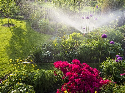 Ein Garten mit grünem Rasen und Blumenbeeten, der von einem Sprinkler bewässert wird