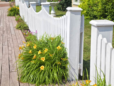 Ein frisch gestrichener, weißer Gartenzaun aus Holz verläuft entlang eines Holzstegs und ist von gelben Blumen sowie gepflegtem Rasen gesäumt