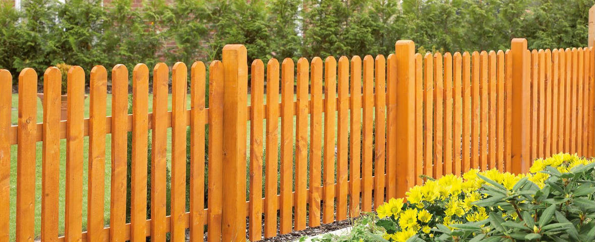 Frisch gestrichener Holzzaun mit gelben Blumen im Vordergrund.