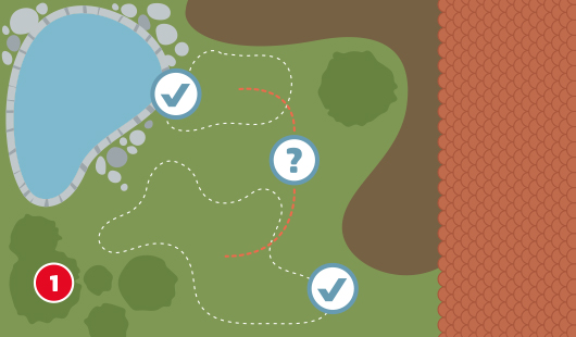 Illustration mit dem Titel „Schritt 1“ einer Hagebau-Anleitung zum Anlegen eines Kiesbeets. Auf einer Gartenfläche sind verschiedene geschwungene Linien eingezeichnet – mögliche Formen des zukünftigen Kiesbeets. Zwei davon sind mit Häkchen markiert, eine rote Linie mit Fragezeichen symbolisiert eine noch unklare Planung.