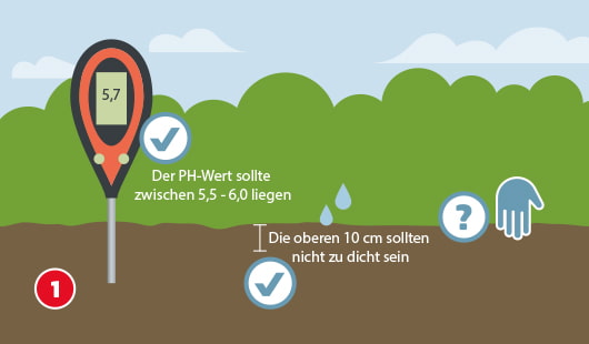 Illustration mit dem Titel „Schritt 1“ einer Hagebau-Anleitung zur Verlegung von Rollrasen. Ein pH-Messgerät steckt im Boden und zeigt einen Wert von 5,7 – ein Häkchen bestätigt: Der optimale pH-Wert liegt zwischen 5,5 und 6,0. Daneben Hinweise: Der Boden sollte in den oberen 10 cm nicht zu dicht sein und etwas Feuchtigkeit enthalten.
