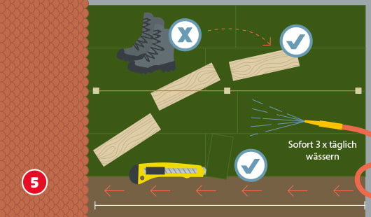 Illustration mit dem Titel „Schritt 5“ einer Hagebau-Anleitung zur Verlegung von Rollrasen. Rasenbahnen werden versetzt verlegt – ähnlich wie bei Ziegeln. Ein Fußabdruck mit X zeigt: Nicht auf frisch verlegtem Rasen laufen. Stattdessen helfen Holzbretter (mit Häkchen), um den Rasen beim Betreten zu schützen. Ein Teppichmesser liegt bereit zum Zuschneiden der Bahnen. Ein Gartenschlauch bewässert den Rasen mit dem Hinweis: „Sofort 3x täglich wässern“.