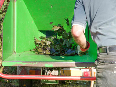 Ein Mann schiebt Laub und Zweige in die große Einfüllöffnung eines mobilen Häckslers. Das grüne Gerät ist auf einem Anhänger montiert