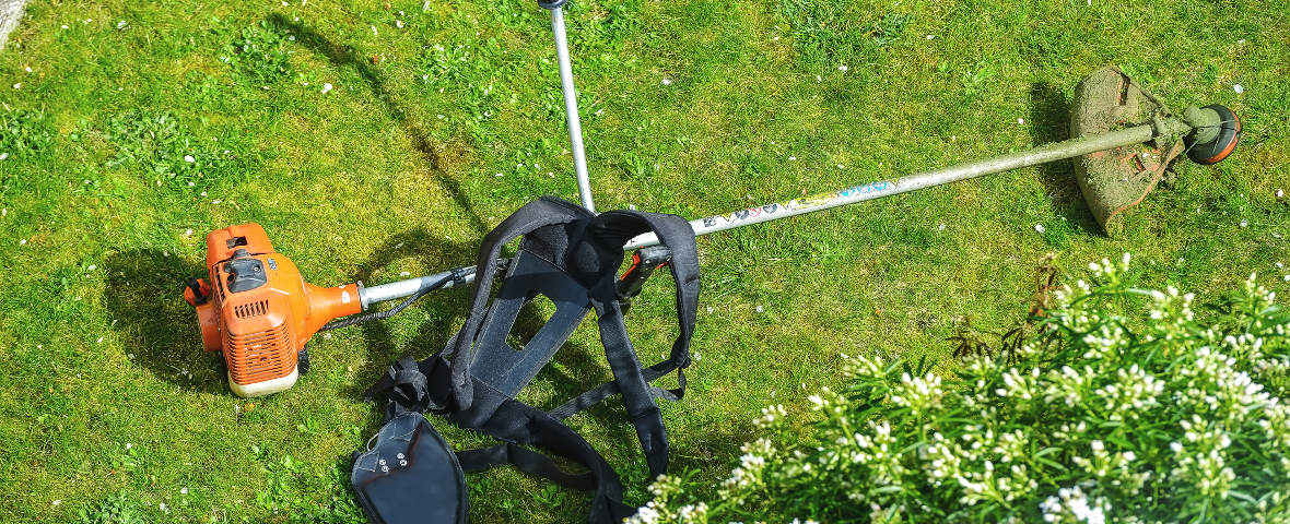 Eine Motorsense mit Tragegurt liegt auf einer gemähten Rasenfläche. Der Schneidkopf ist mit Grasresten bedeckt, im Vordergrund blüht ein Zierstrauch