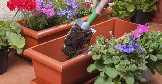 Eine Hand füllt mit einer Schaufel frische Blumenerde in einen Pflanzkasten zum Umtopfen bunter Balkonblumen