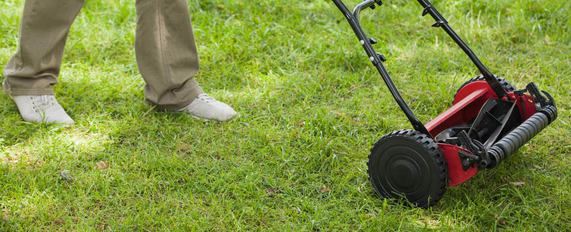 Eine Person steht auf einer Rasenfläche neben einem roten Spindelmäher, der zum Mulchen genutzt wird. Das Schnittgut bleibt fein verteilt auf dem Boden liegen