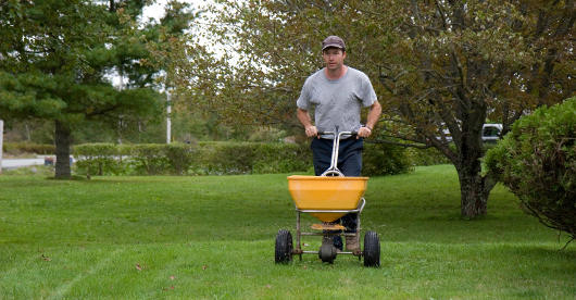 Ein Mann schiebt einen gelben Streuwagen über den Rasen, um Dünger oder Rasensamen gleichmäßig zu verteilen